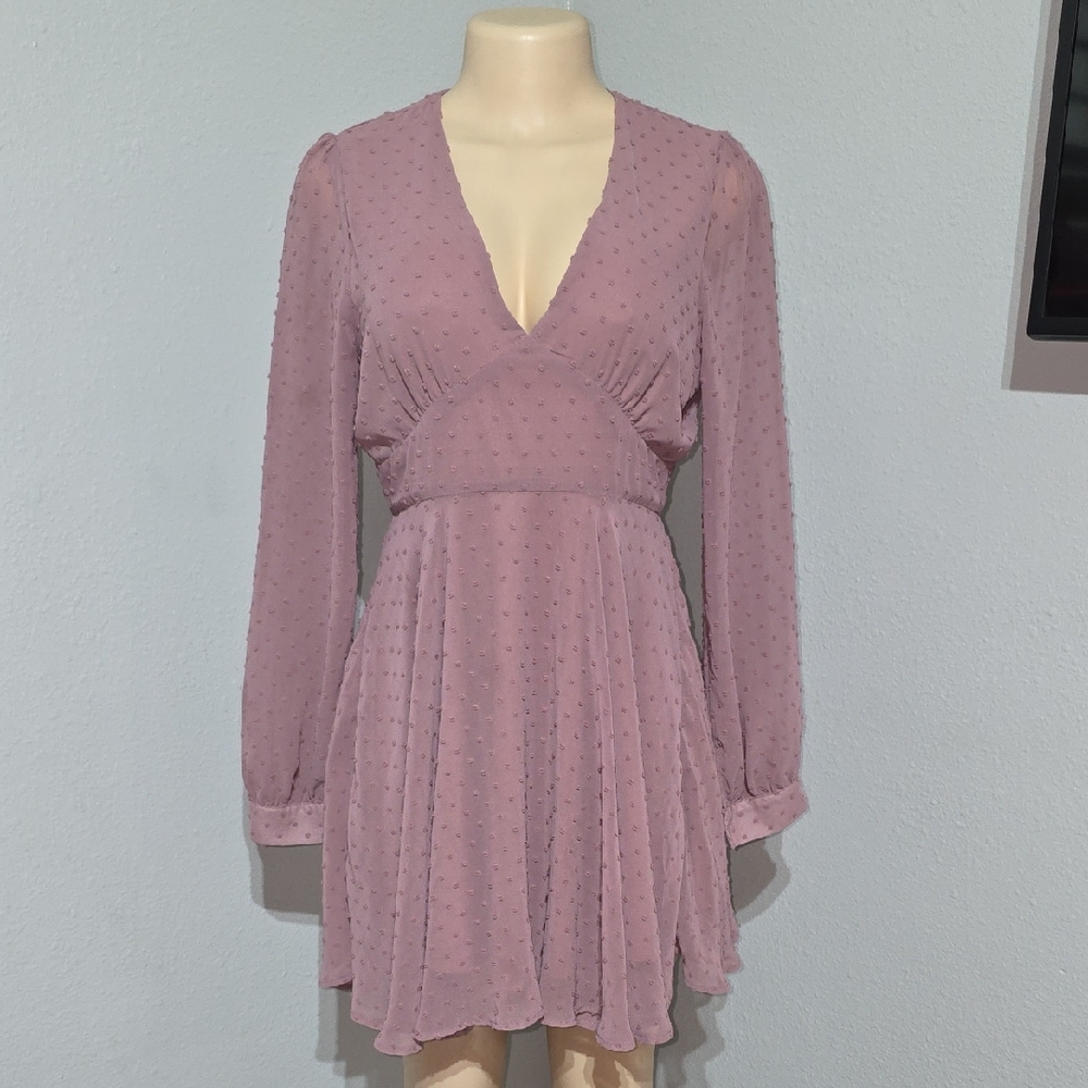 Windsor Mauve Swiss Dot Long Sleeve V-Neck Skater Dress Size M